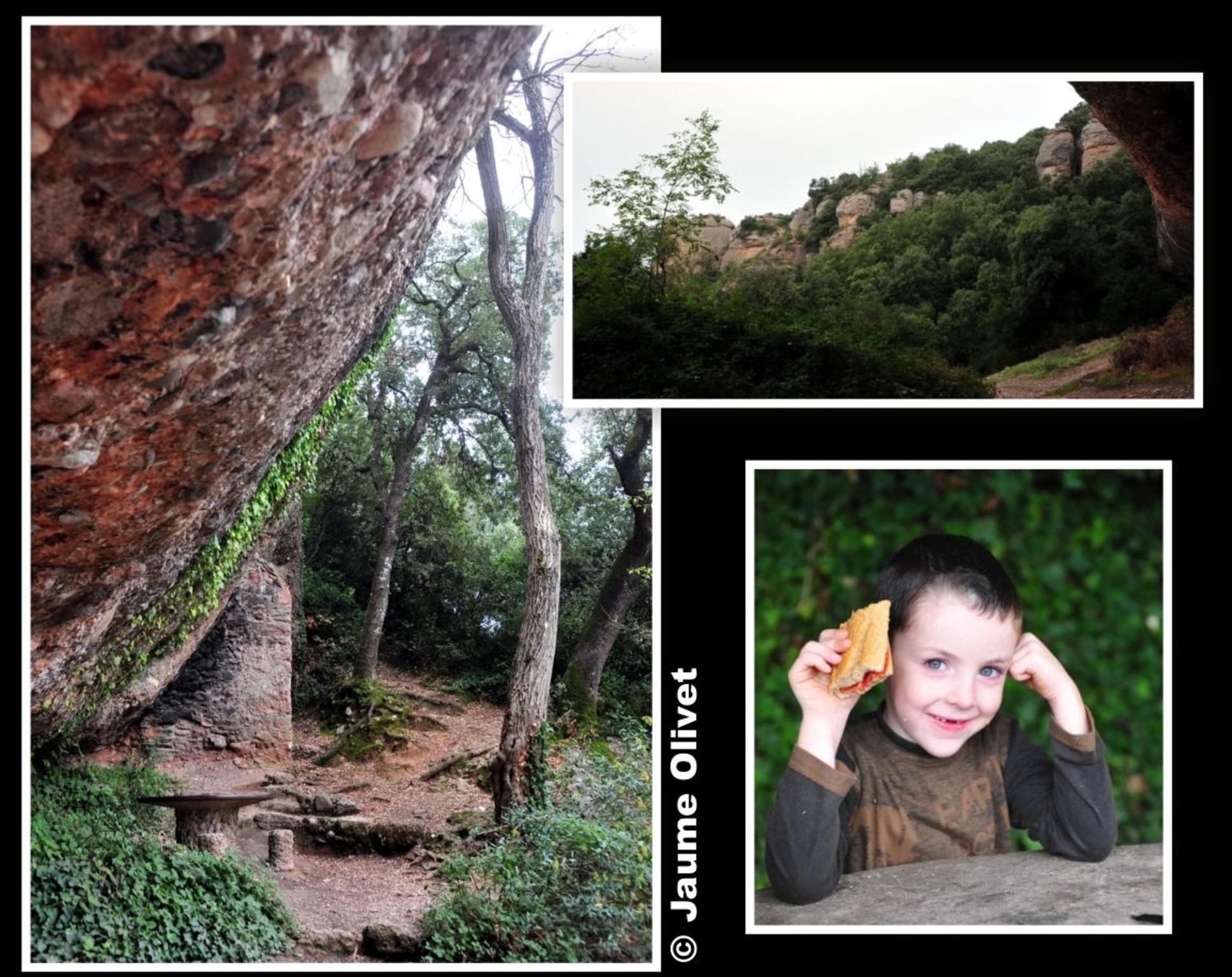� Jaume Olivet 2012