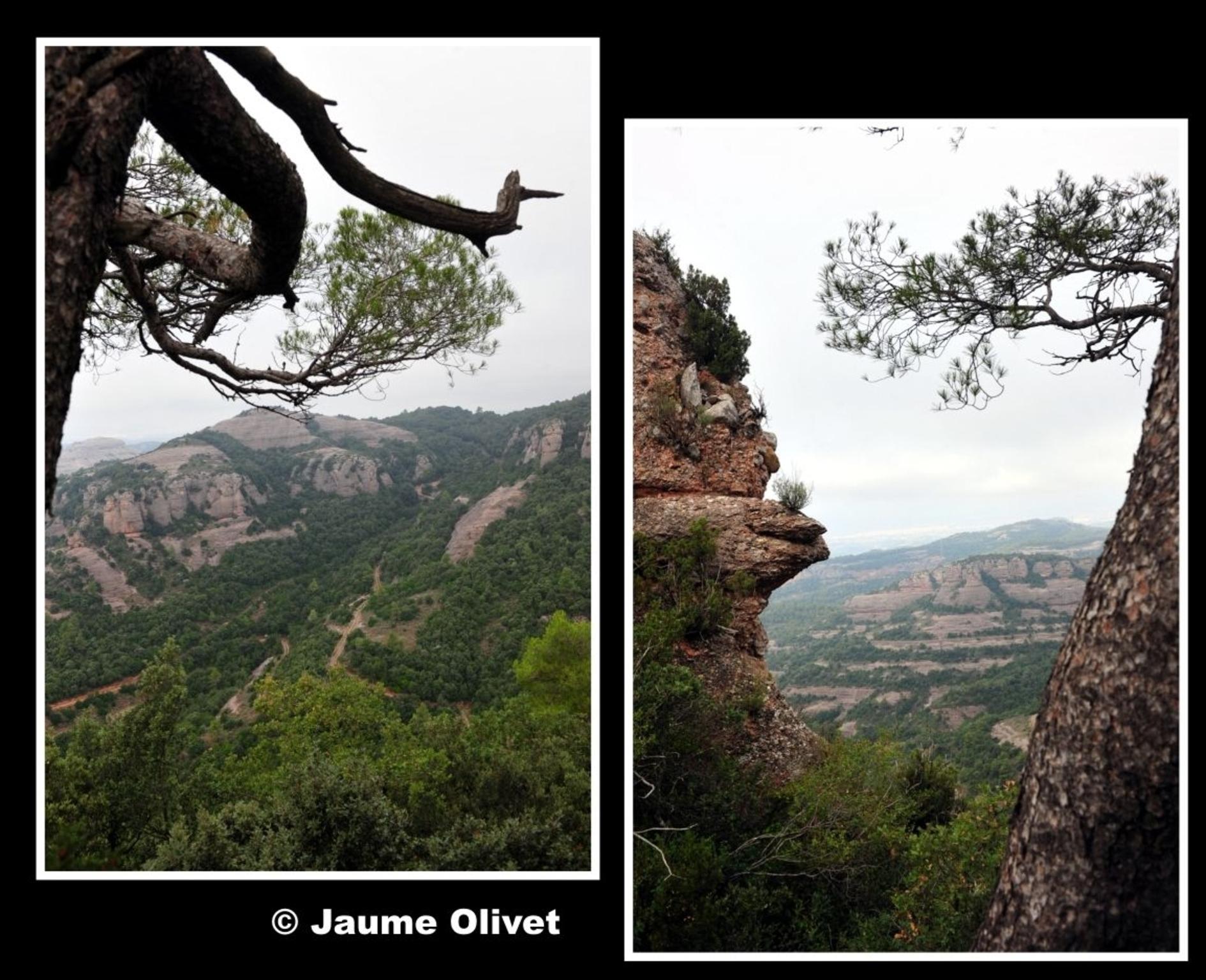 � Jaume Olivet 2012