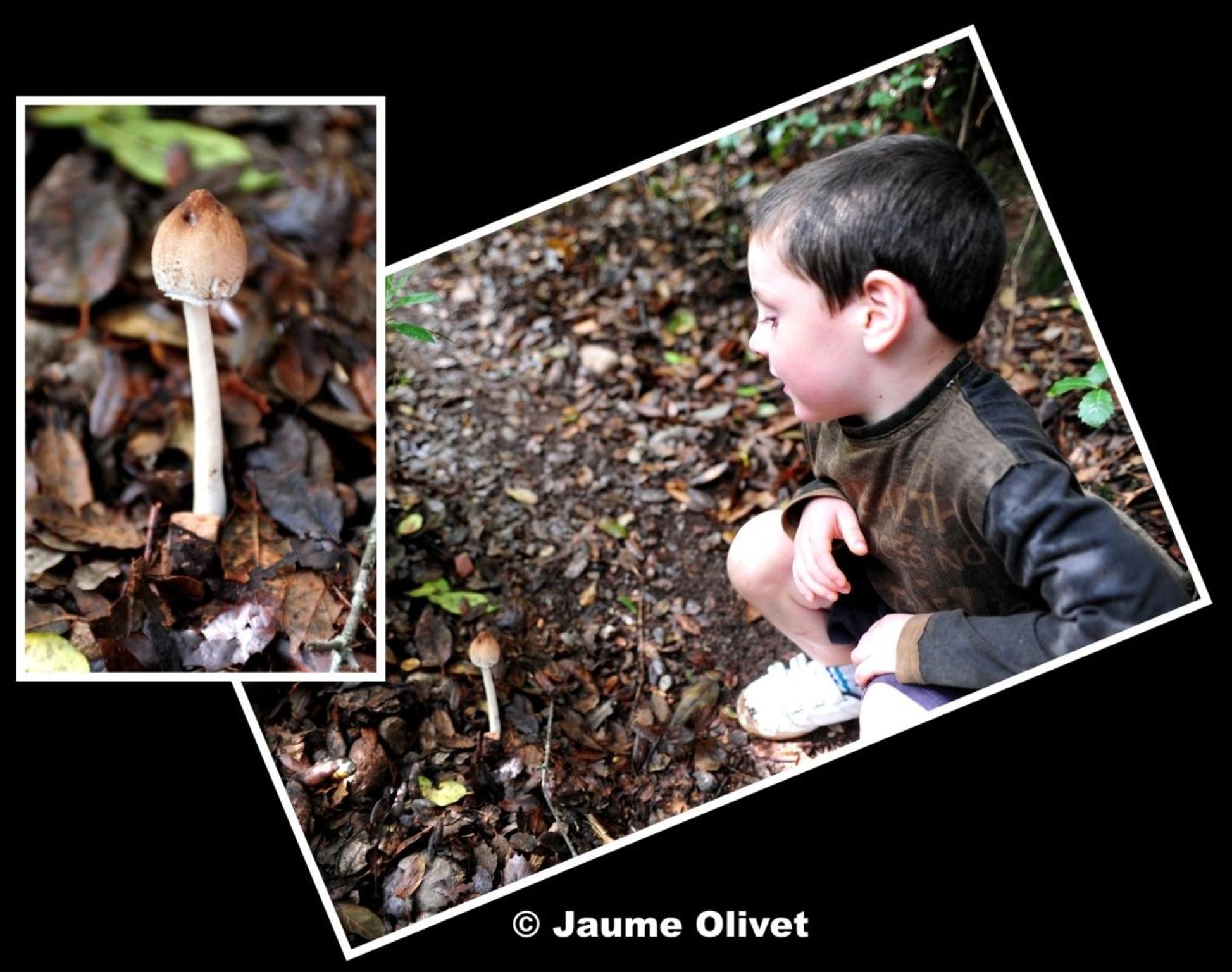 � Jaume Olivet 2012