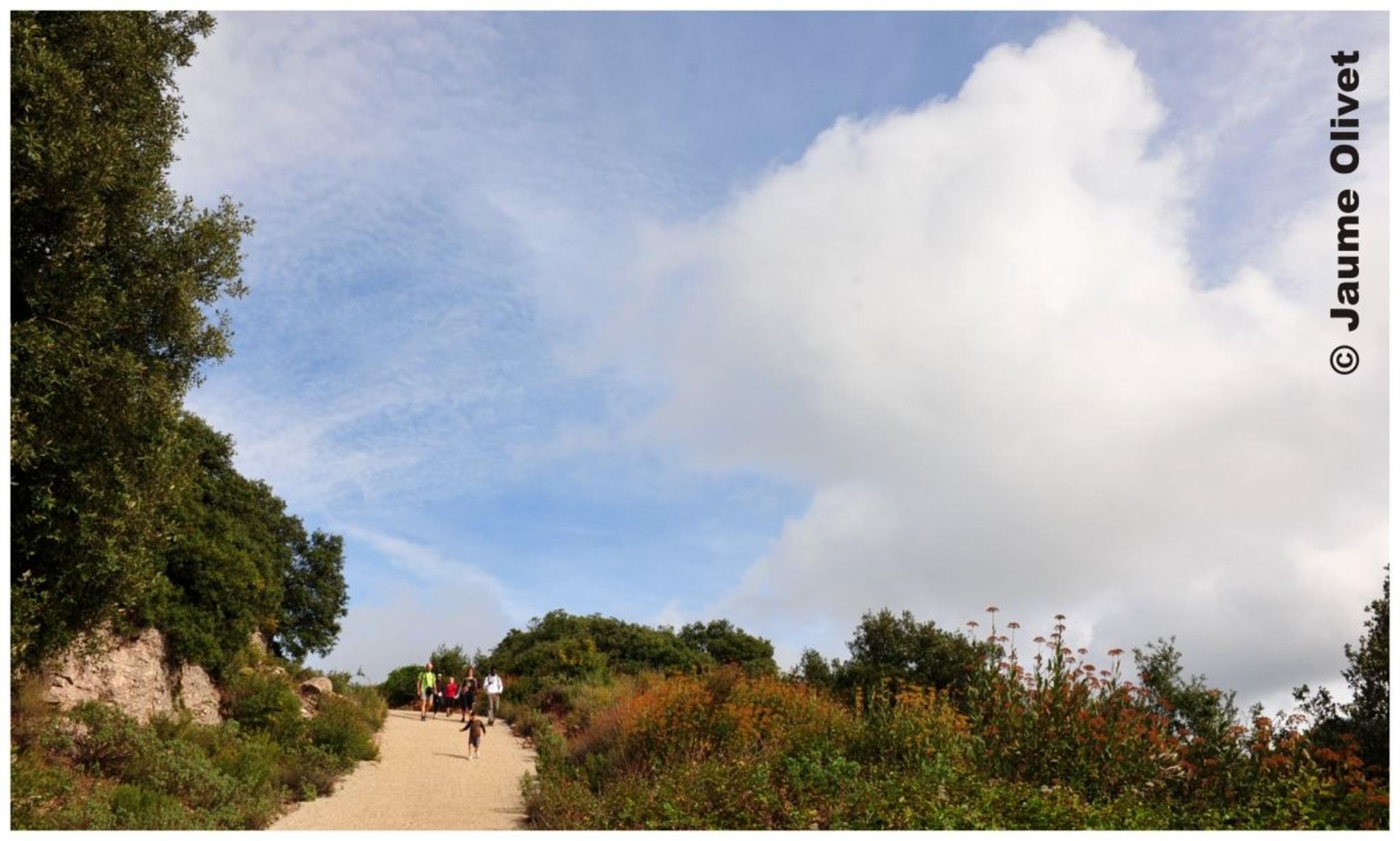 � Jaume Olivet 2012