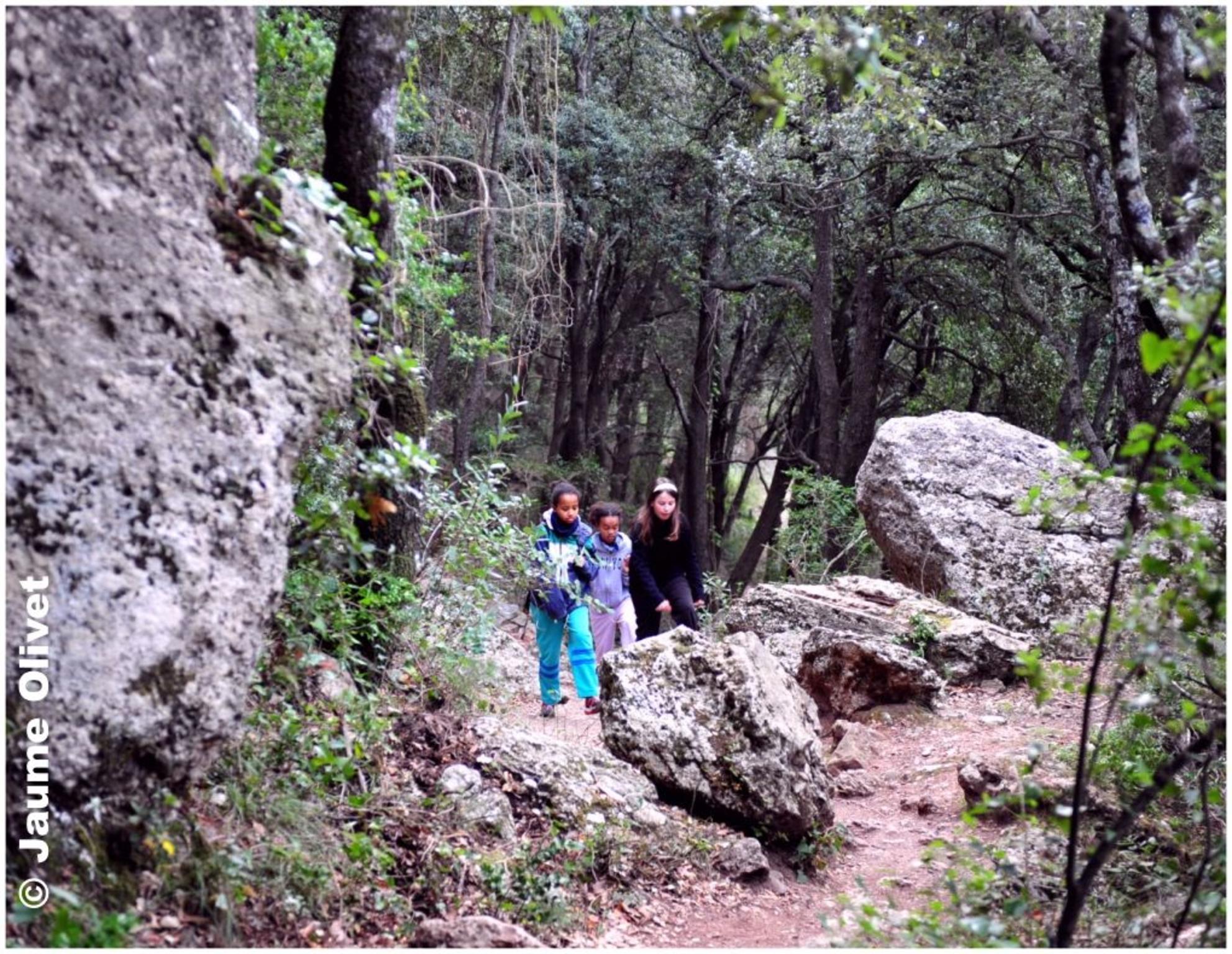 � Jaume Olivet 2012