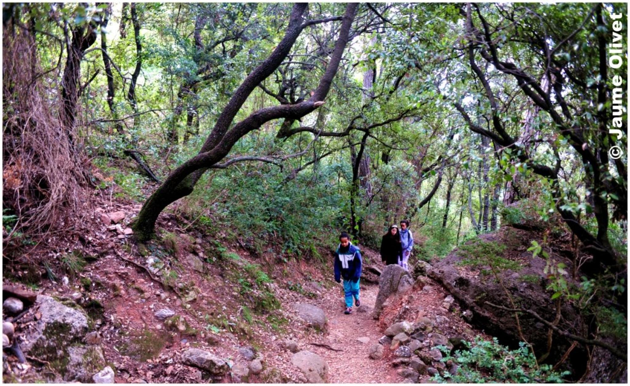 � Jaume Olivet 2012