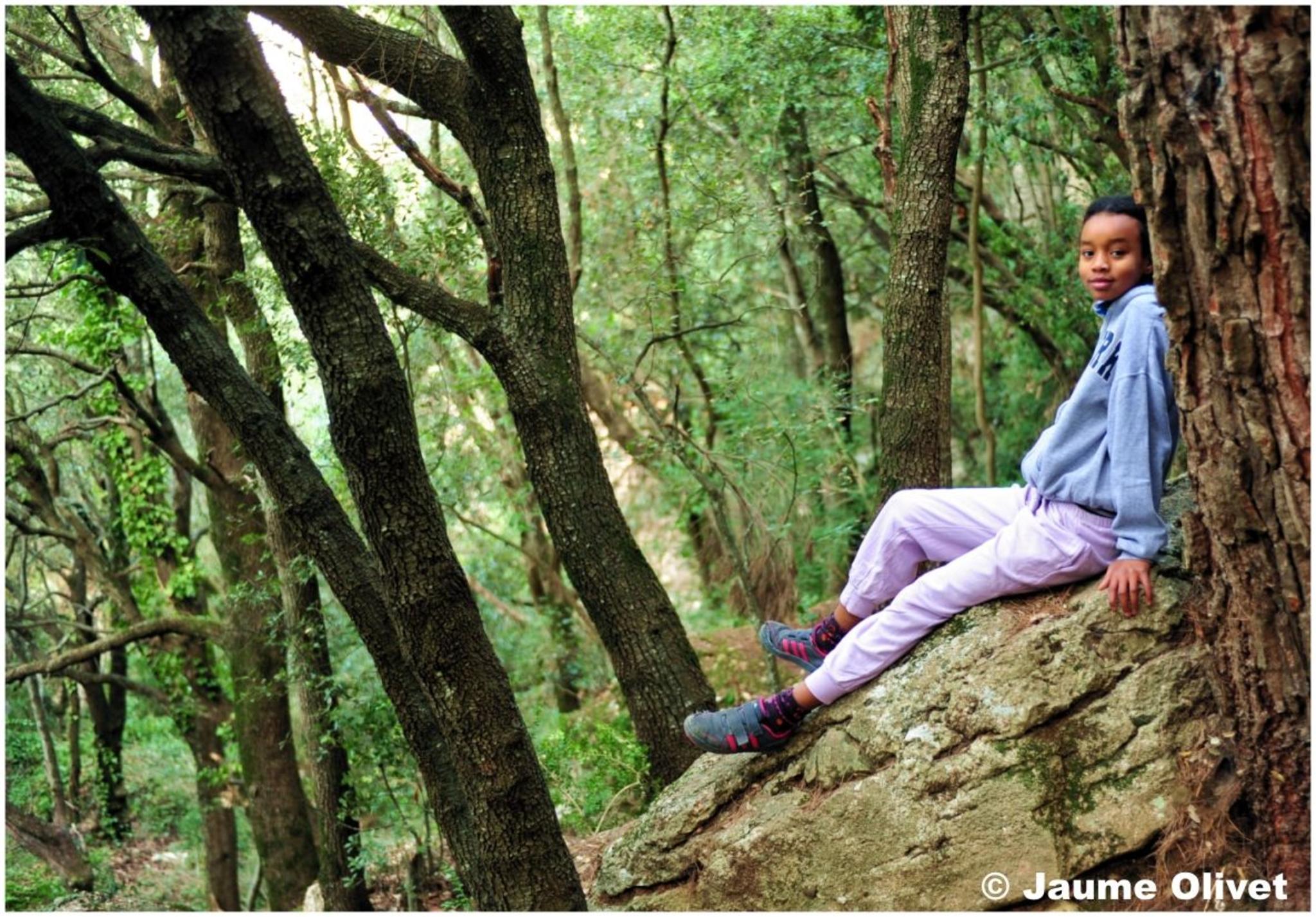 � Jaume Olivet 2012