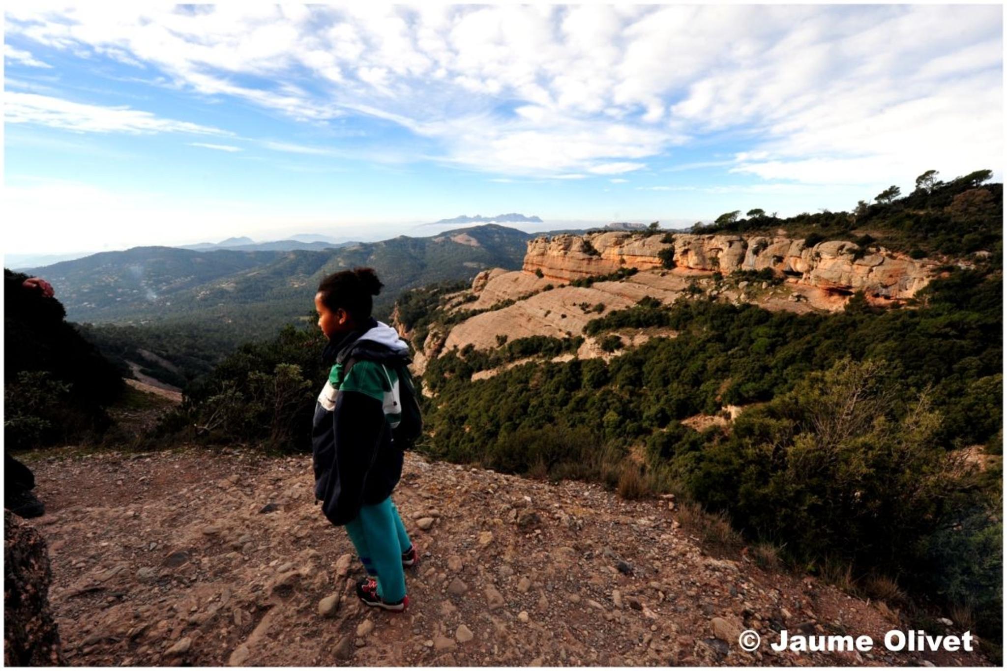 � Jaume Olivet 2012