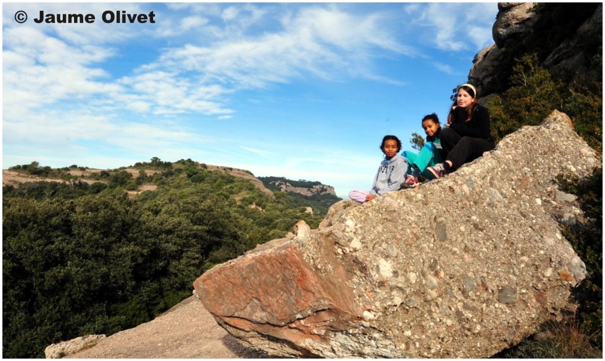 � Jaume Olivet 2012