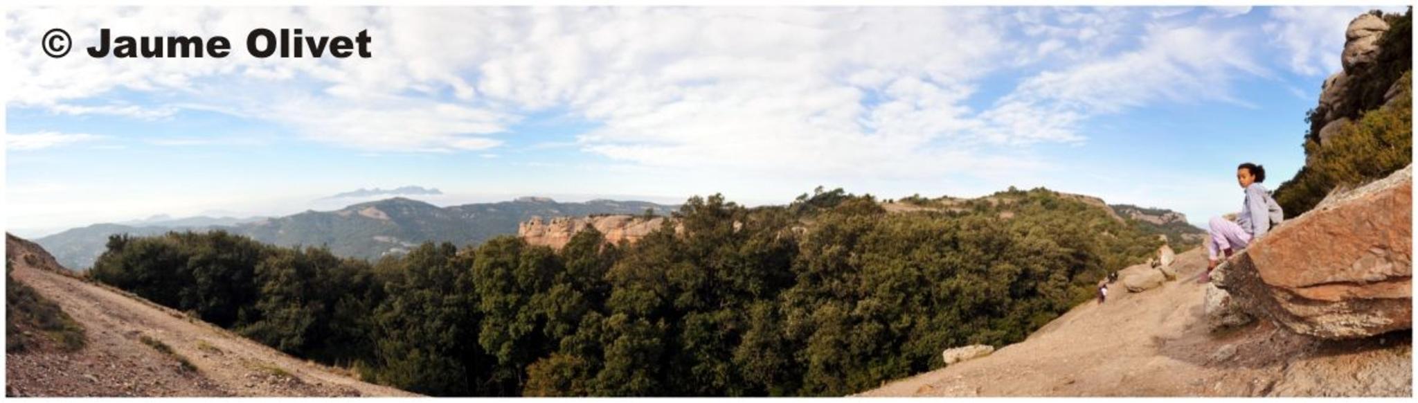 � Jaume Olivet 2012