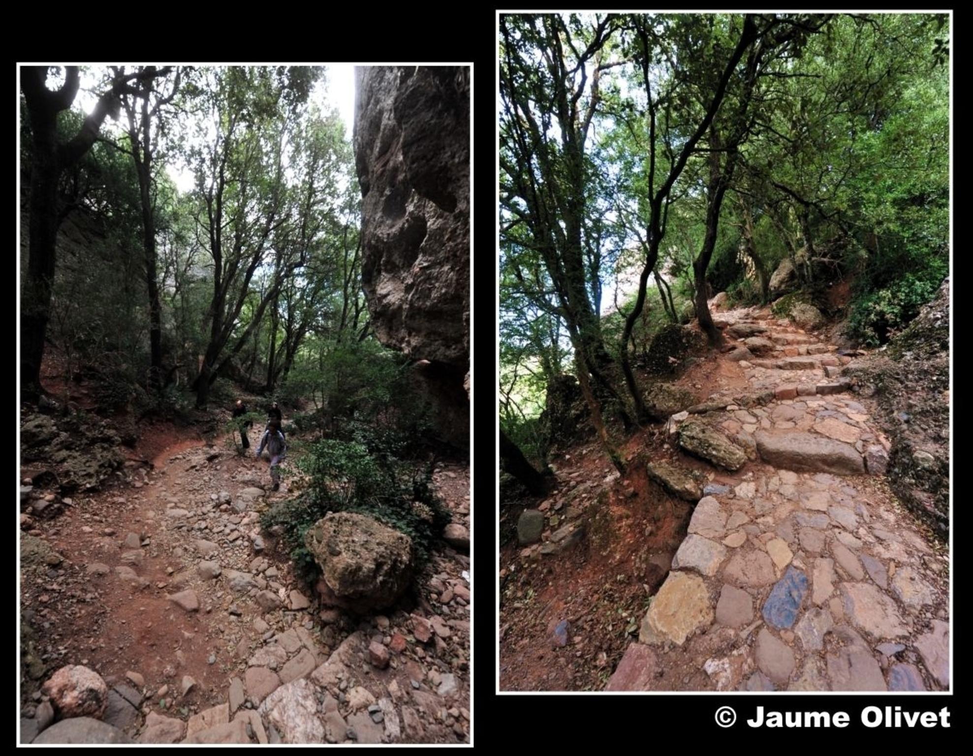 � Jaume Olivet 2012