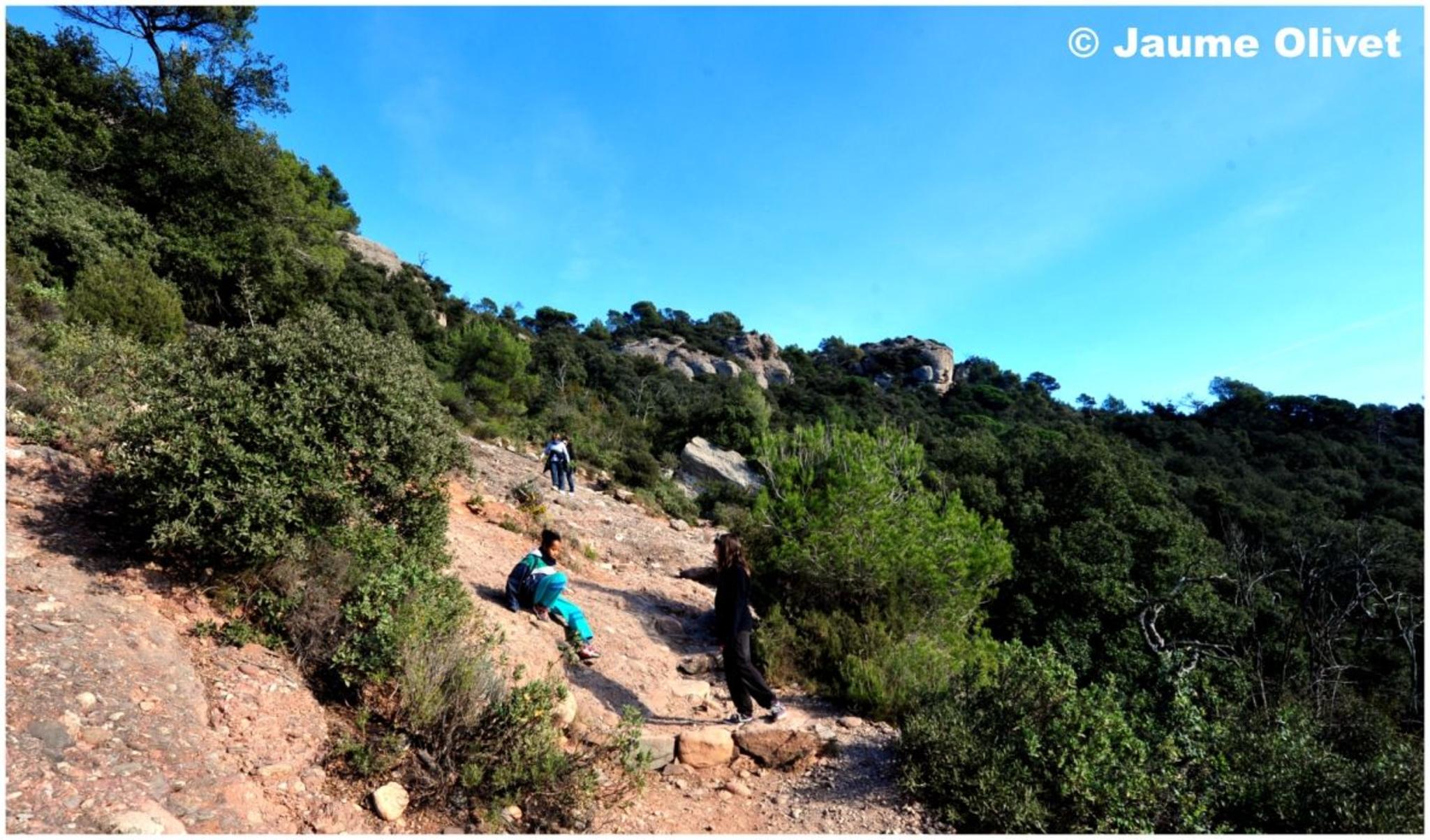 � Jaume Olivet 2012