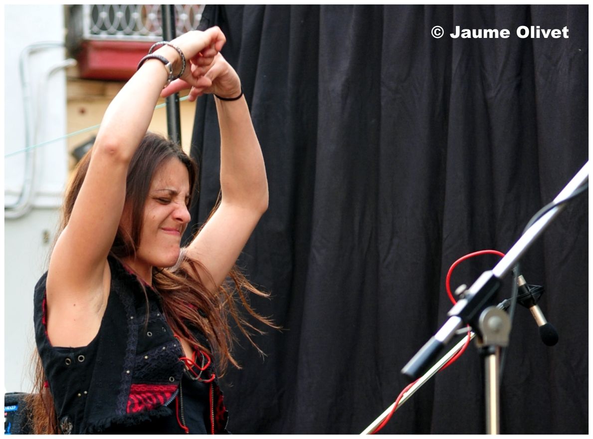 � Jaume Olivet 2013