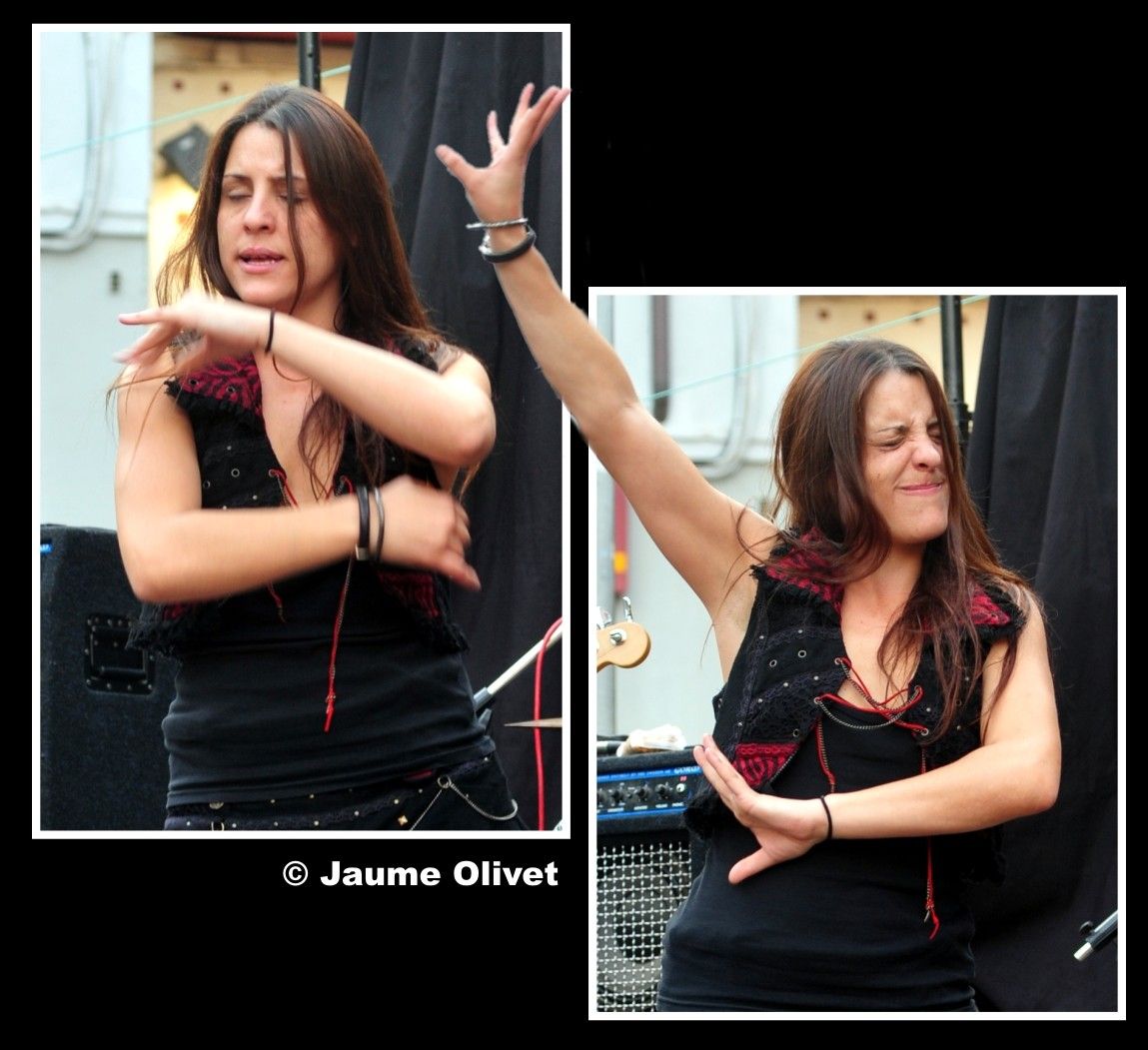 � Jaume Olivet 2013