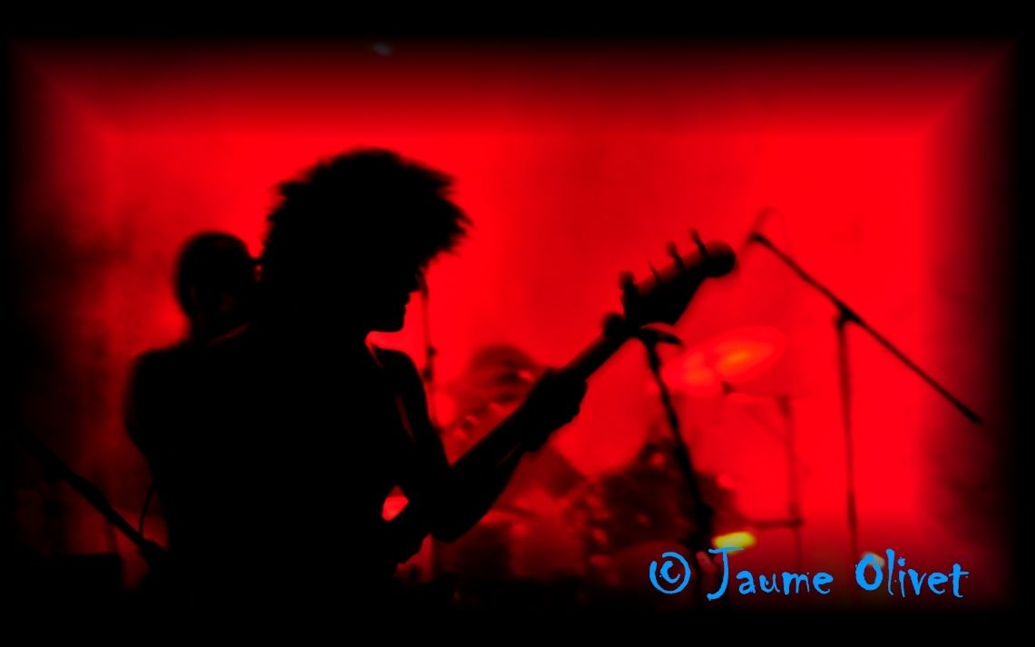 � Jaume Olivet 2013