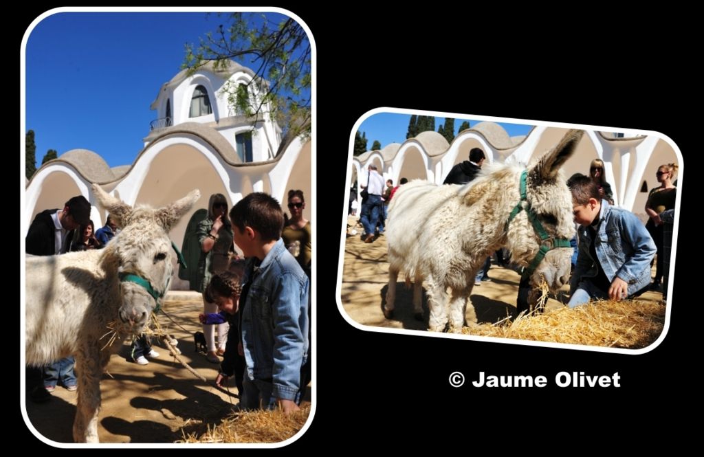 Culturassa 2013 F0202 � Jaume Olivet