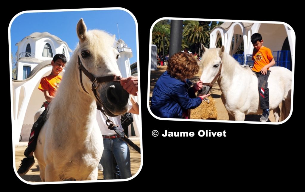 Culturassa 2013 F0207 � Jaume Olivet