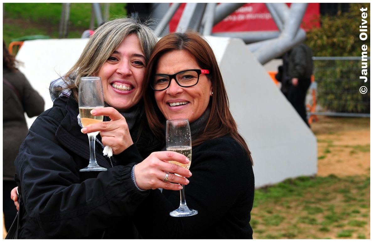 � Jaume Olivet 2013