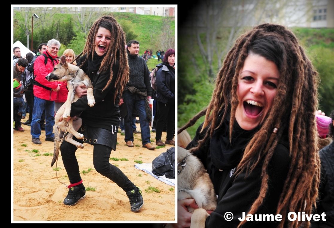 � Jaume Olivet 2013