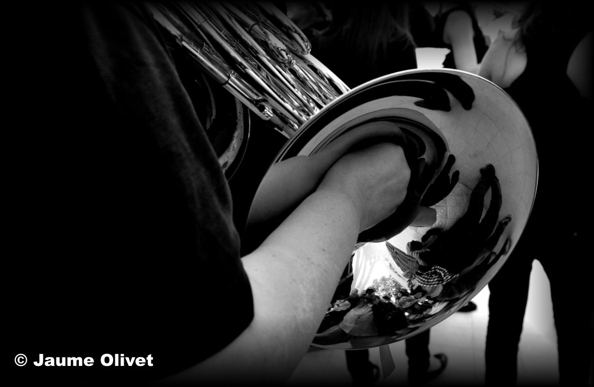 M2013_0407 � Jaume Olivet