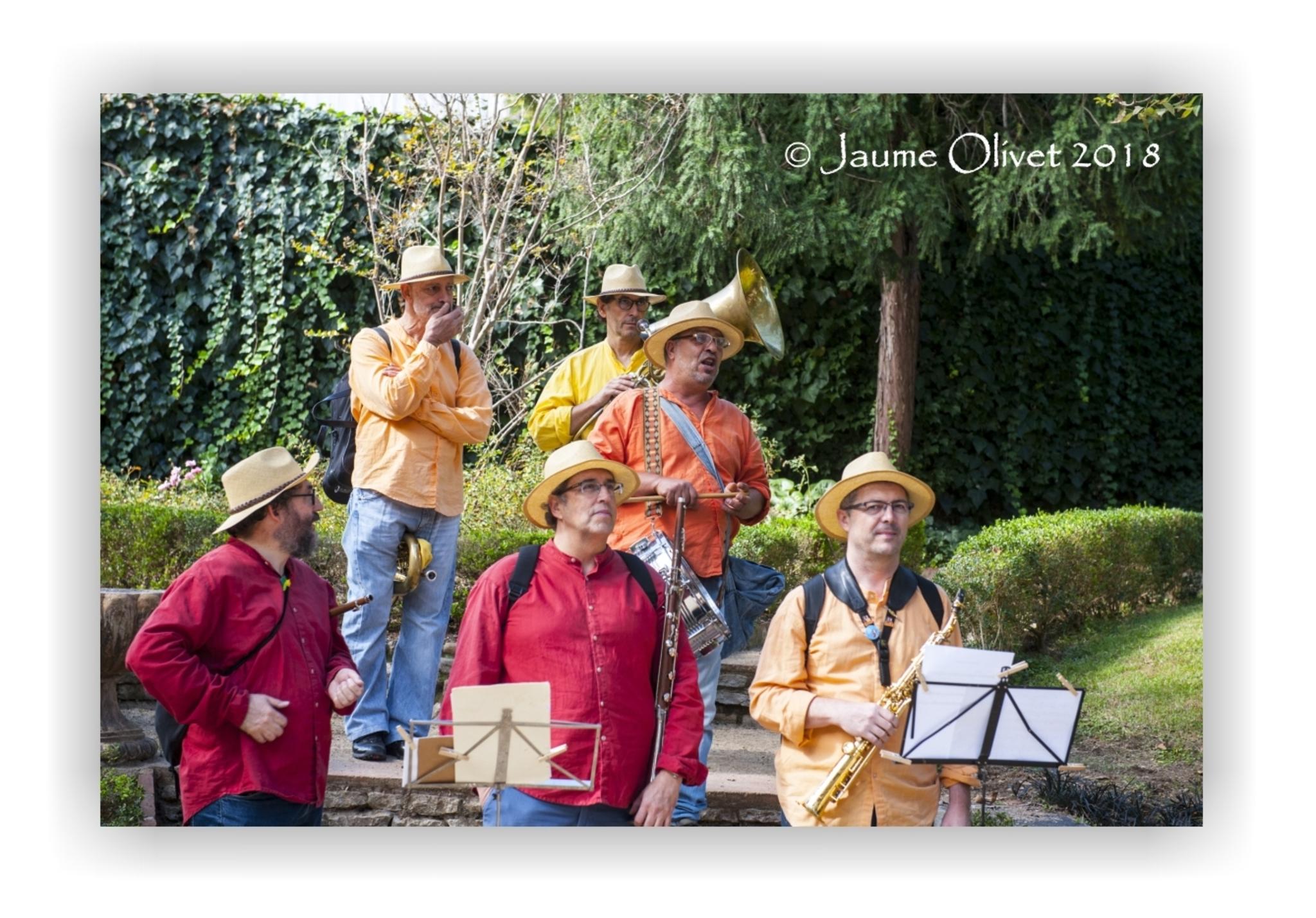 � Jaume Olivet 2018