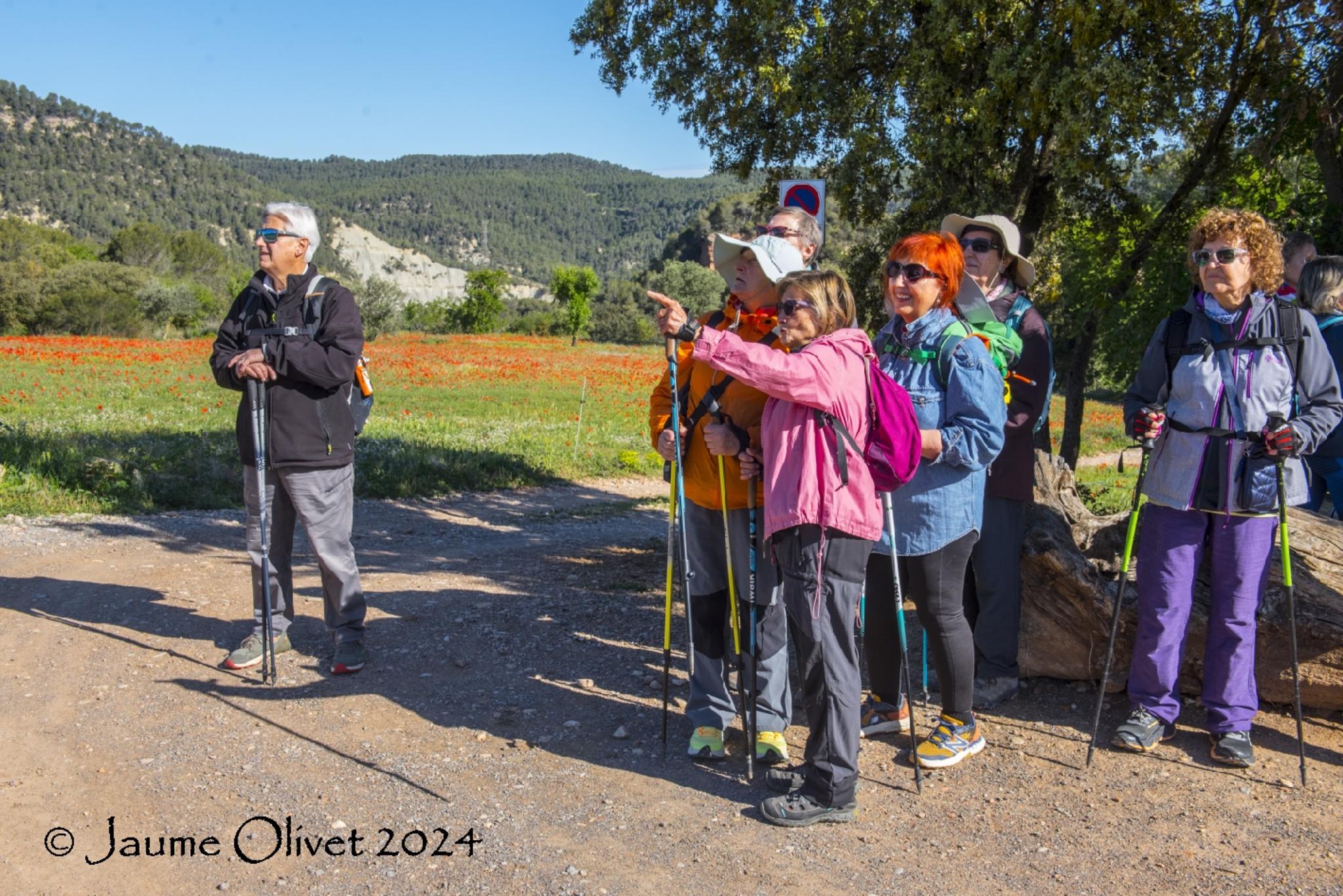  Jaume Olivet 2024