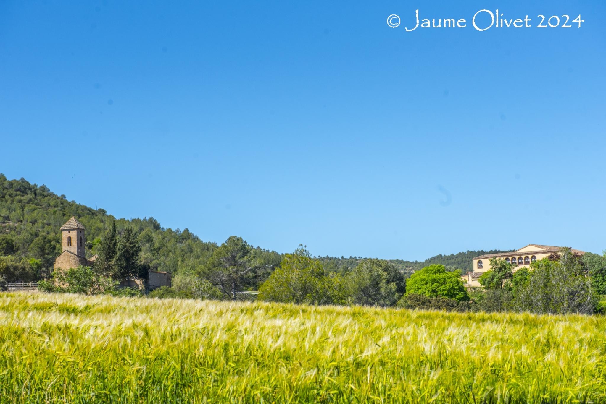  Jaume Olivet 2024