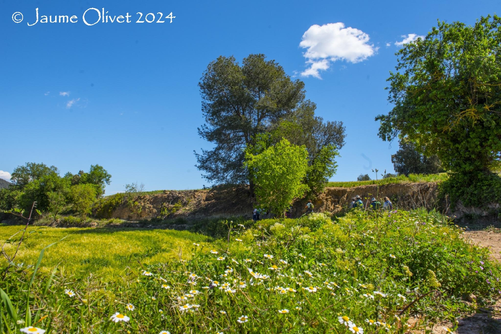  Jaume Olivet 2024