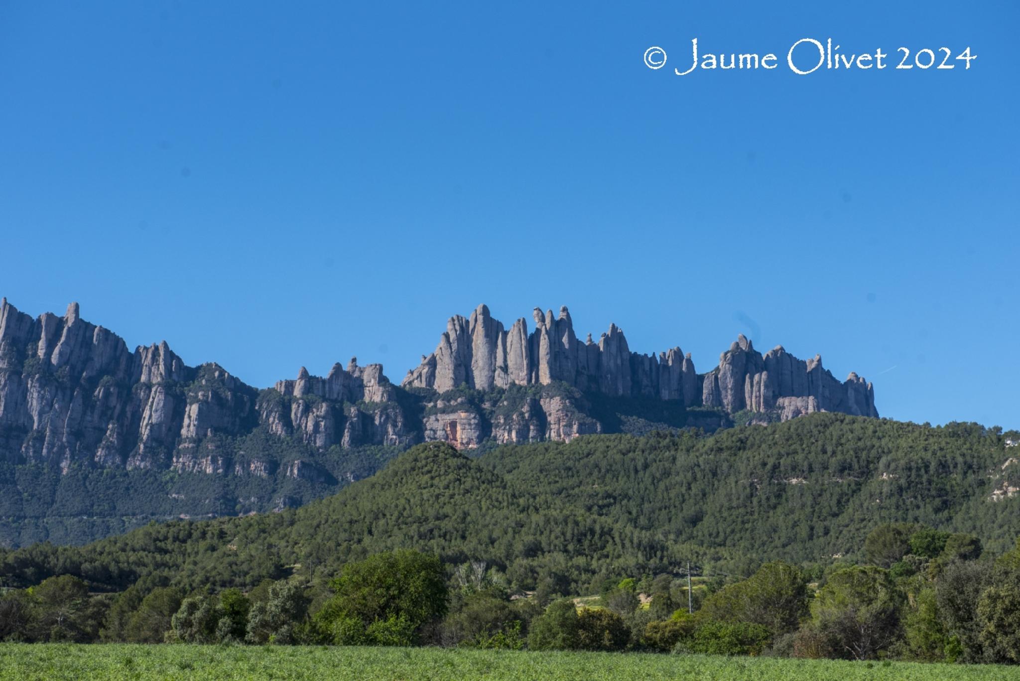  Jaume Olivet 2024