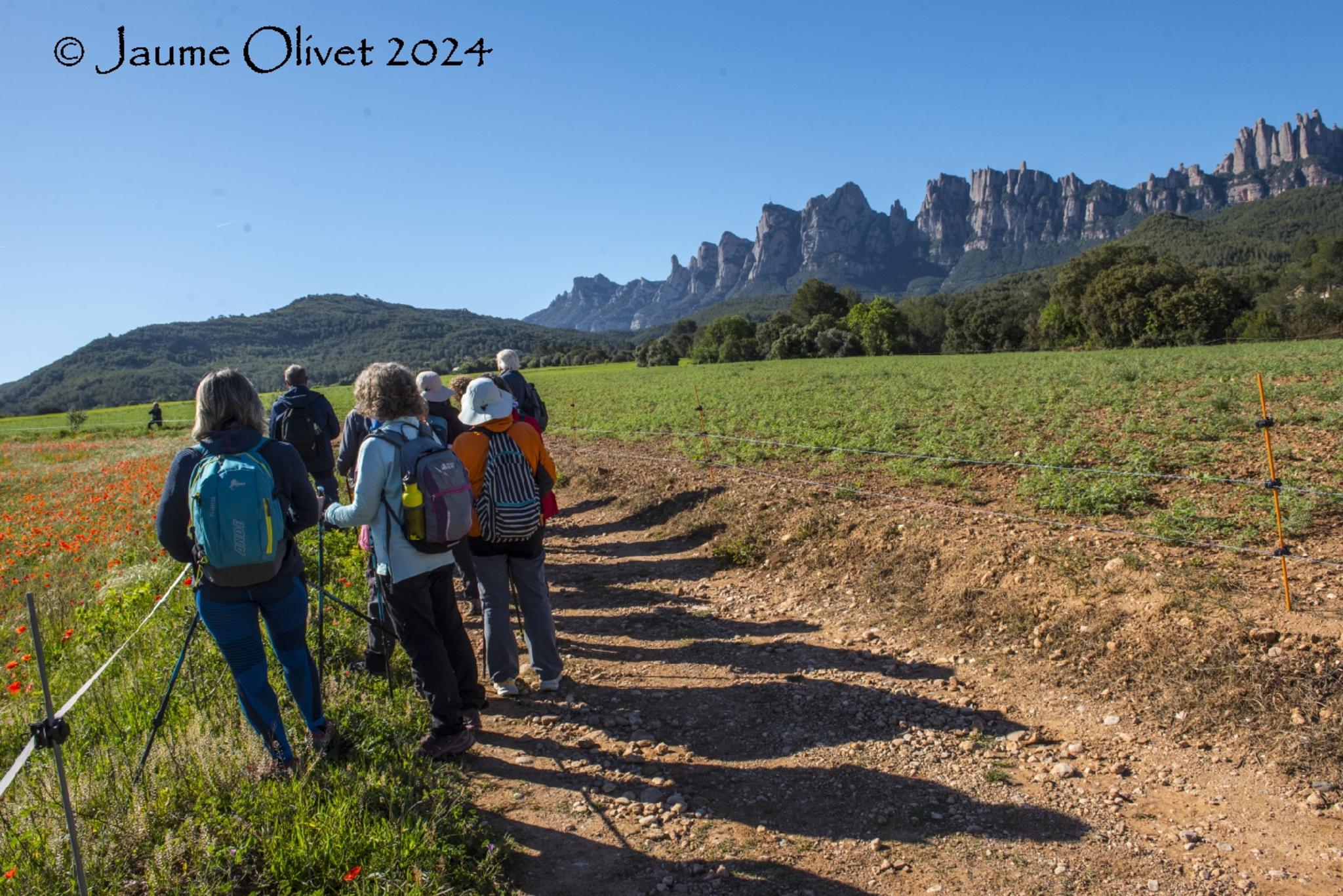  Jaume Olivet 2024