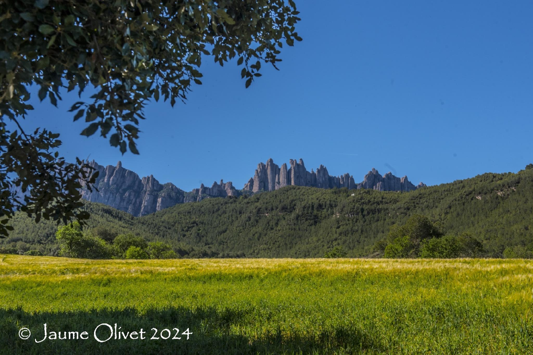  Jaume Olivet 2024