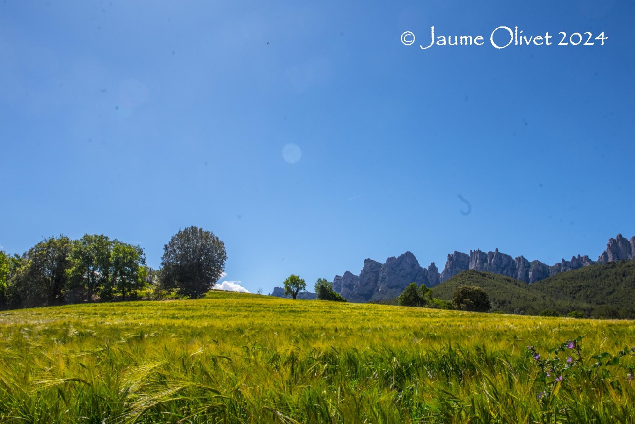  Jaume Olivet 2024