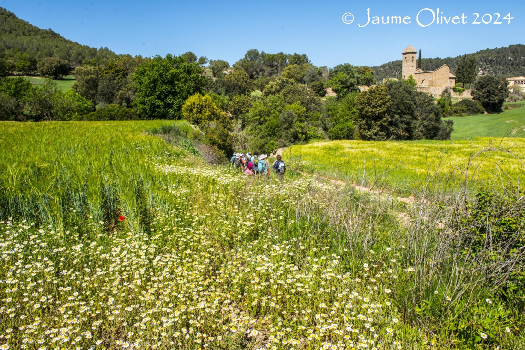  Jaume Olivet 2024