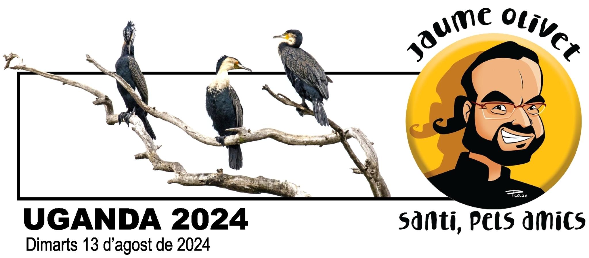  Jaume Olivet 2024