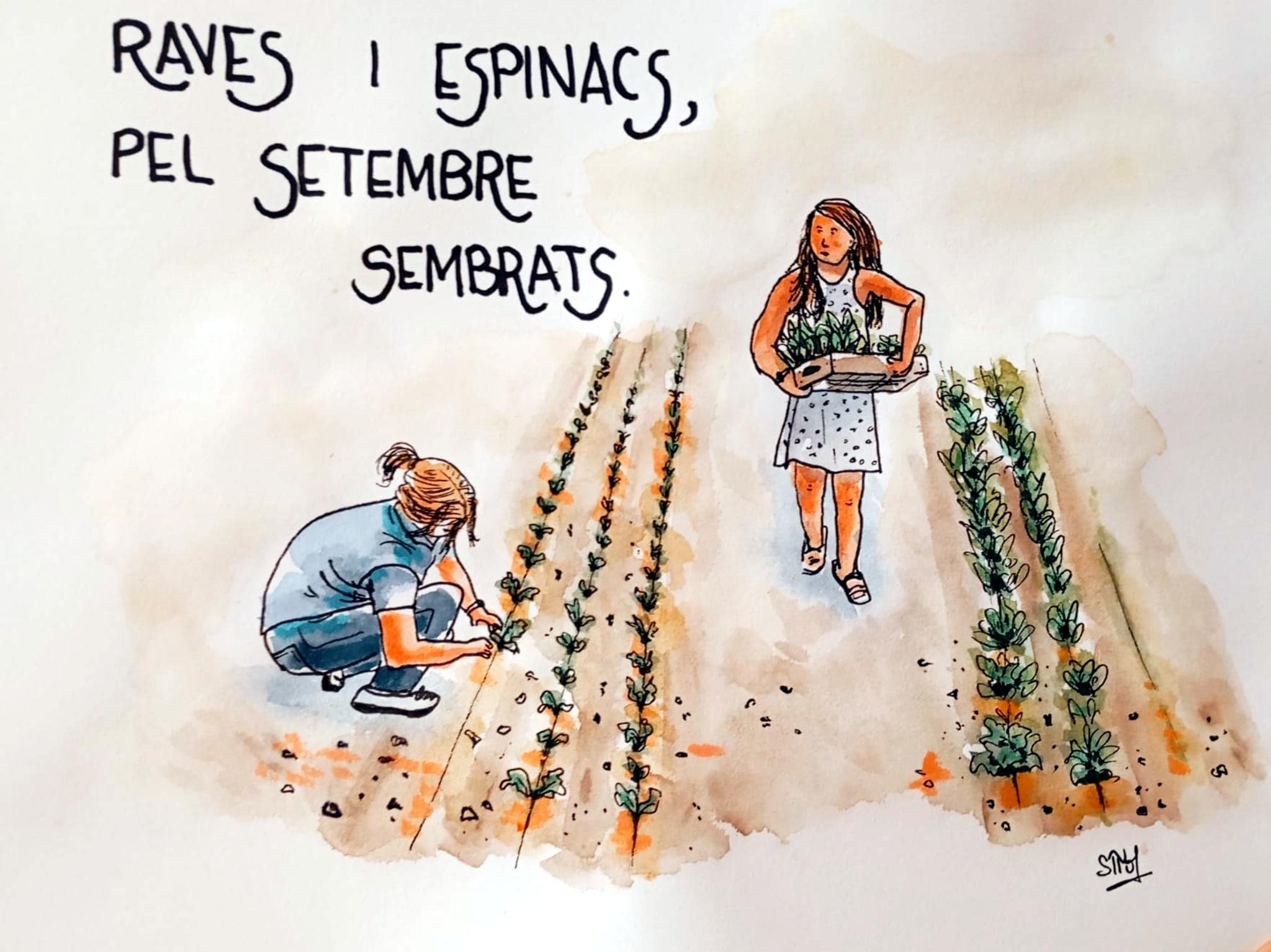  Jaume Olivet 2025