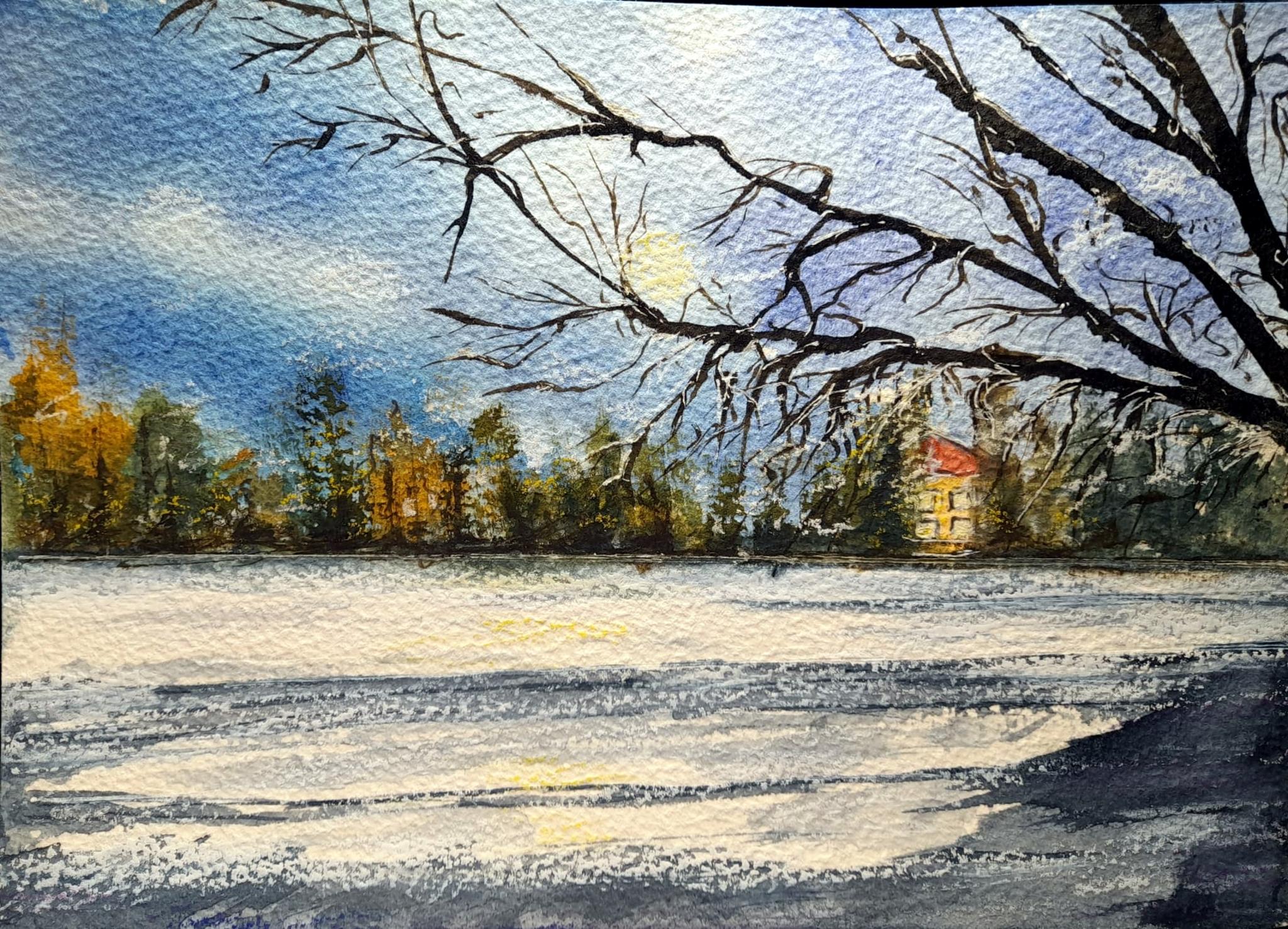 � Jaume Olivet 2025