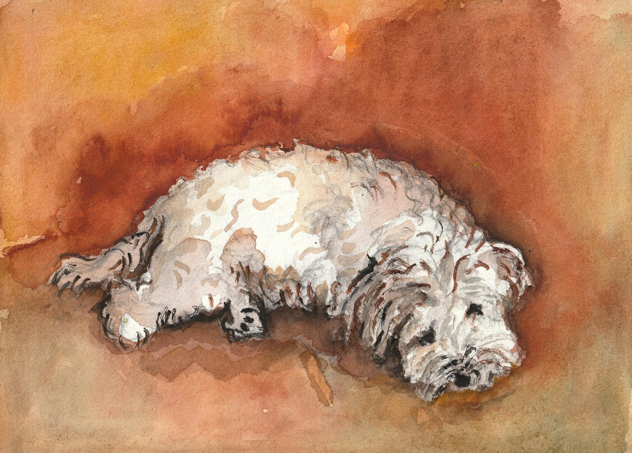  Fernando Font de Gay 2025