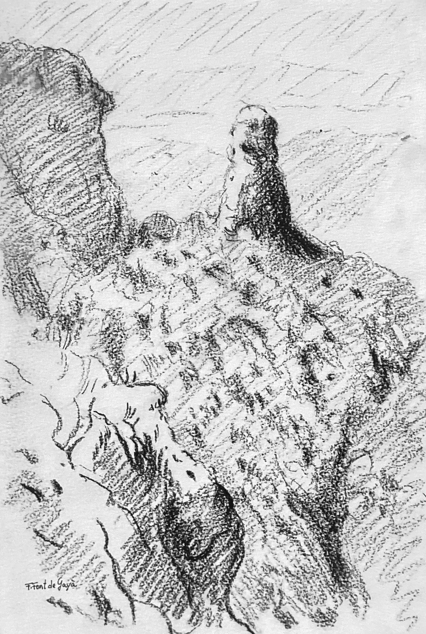 � Fernando Font de Gay� 2025