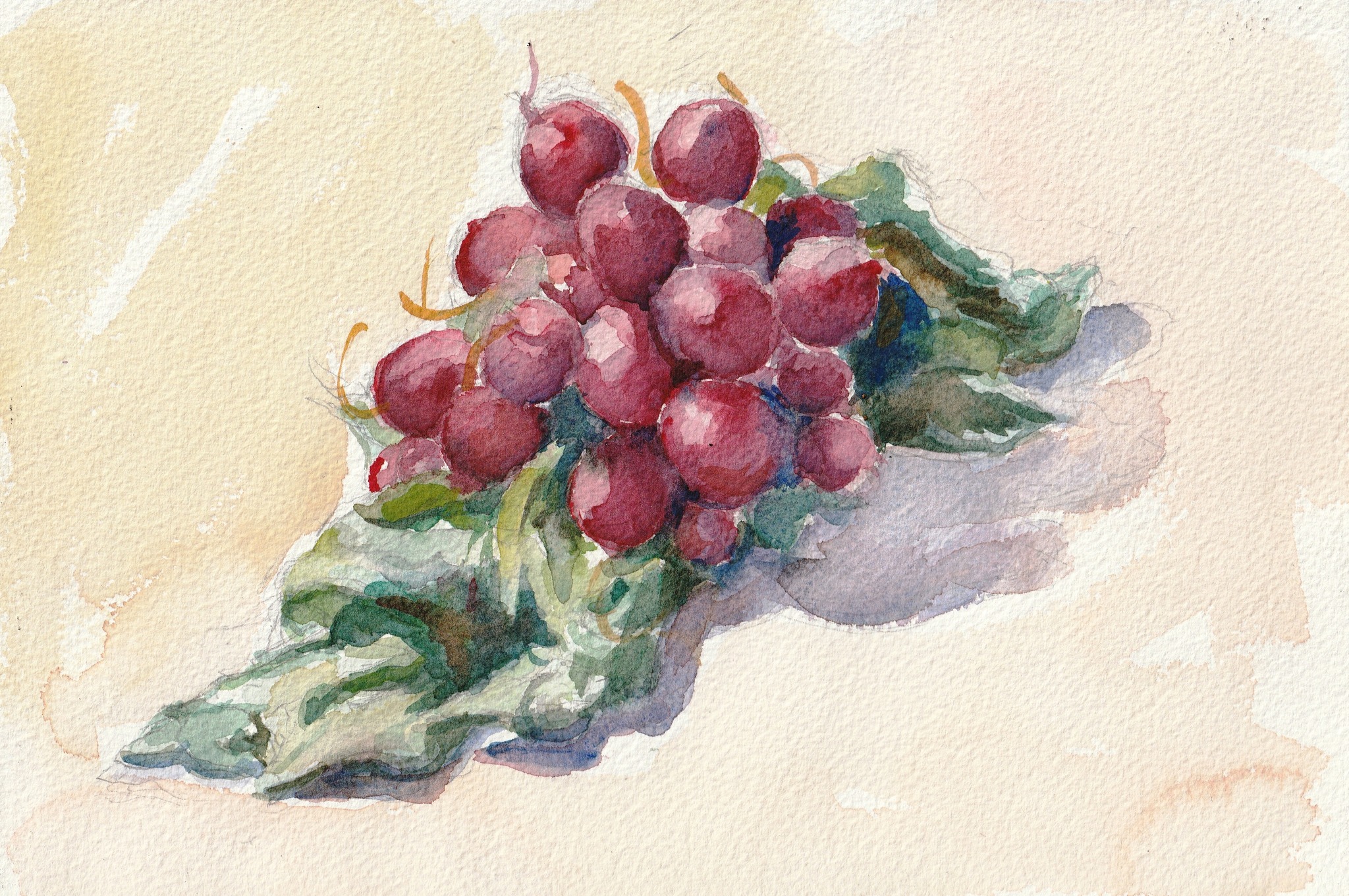 � Fernando Font de Gay� 2025