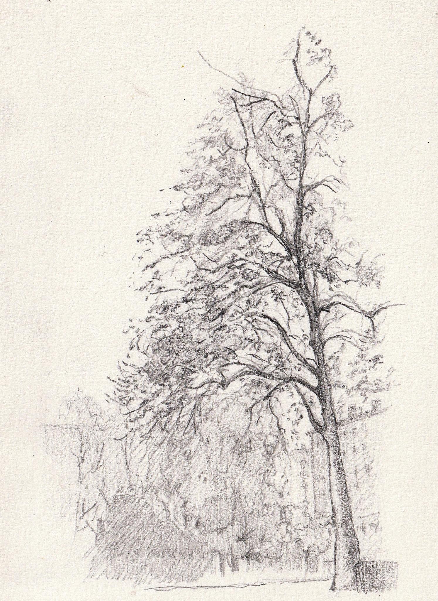 � Fernando Font de Gay� 2025