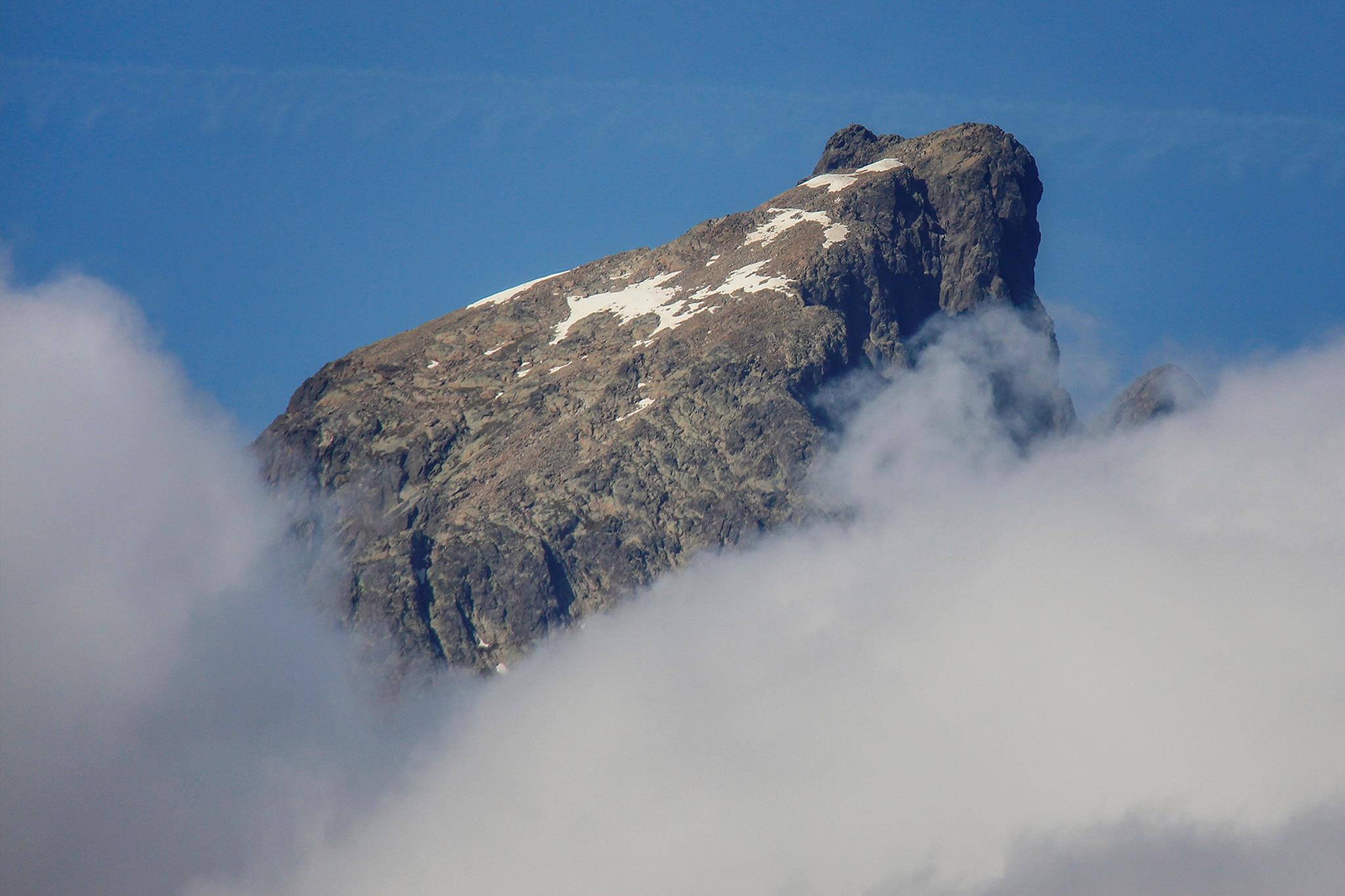 � Jaume Jov� 2025