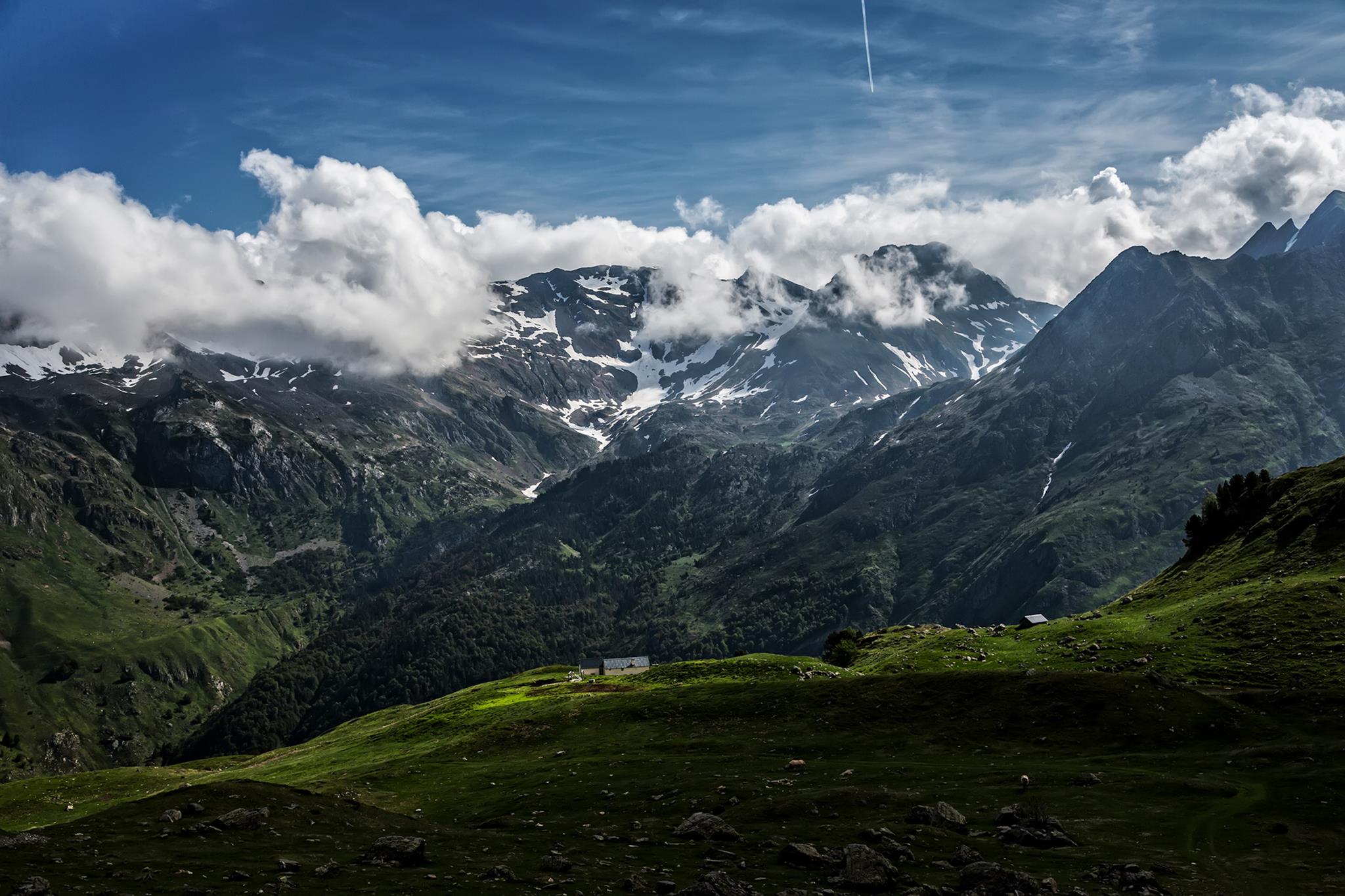 � Jaume Jov� 2025