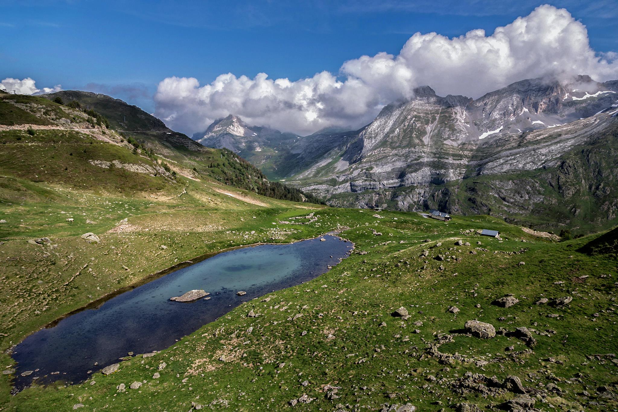 � Jaume Jov� 2025