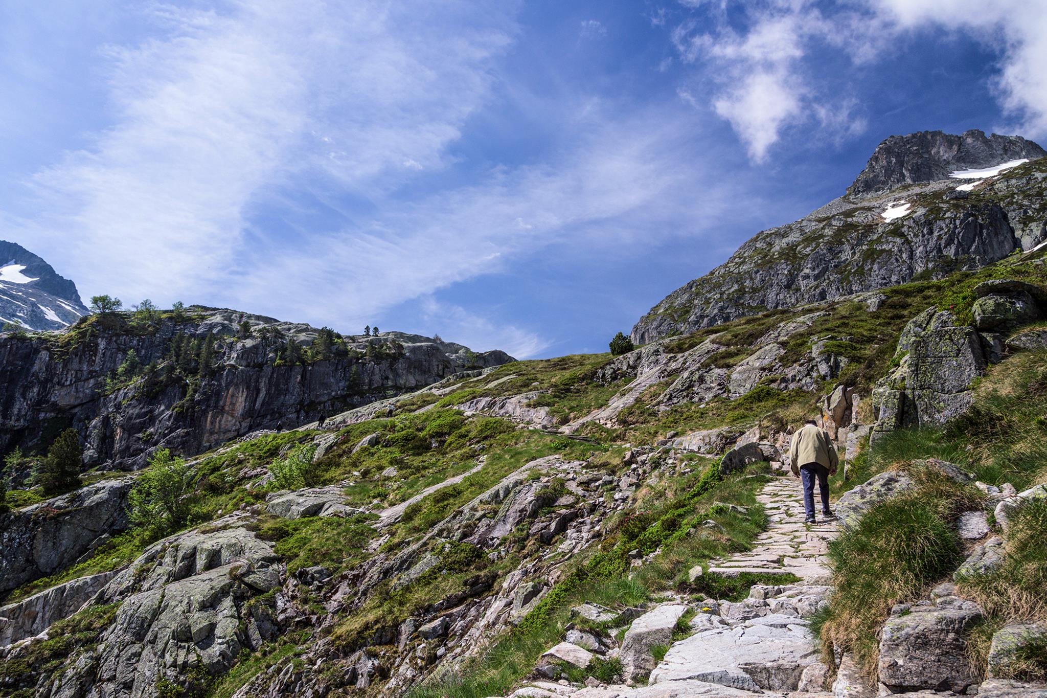 � Jaume Jov� 2025