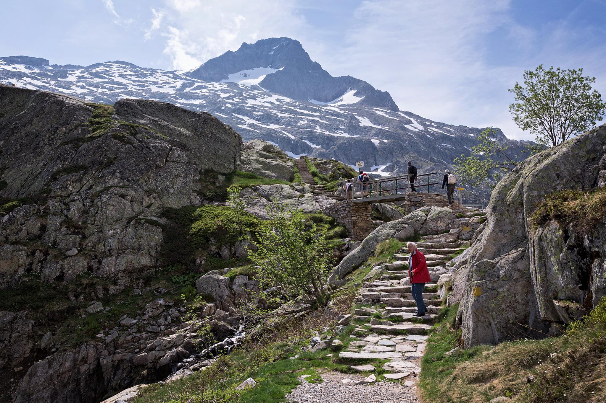 � Jaume Jov� 2025