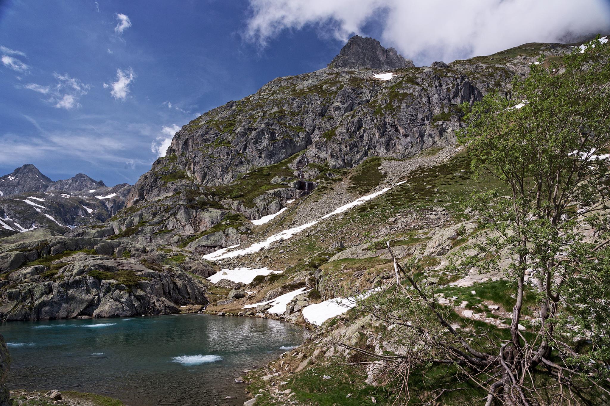 � Jaume Jov� 2025