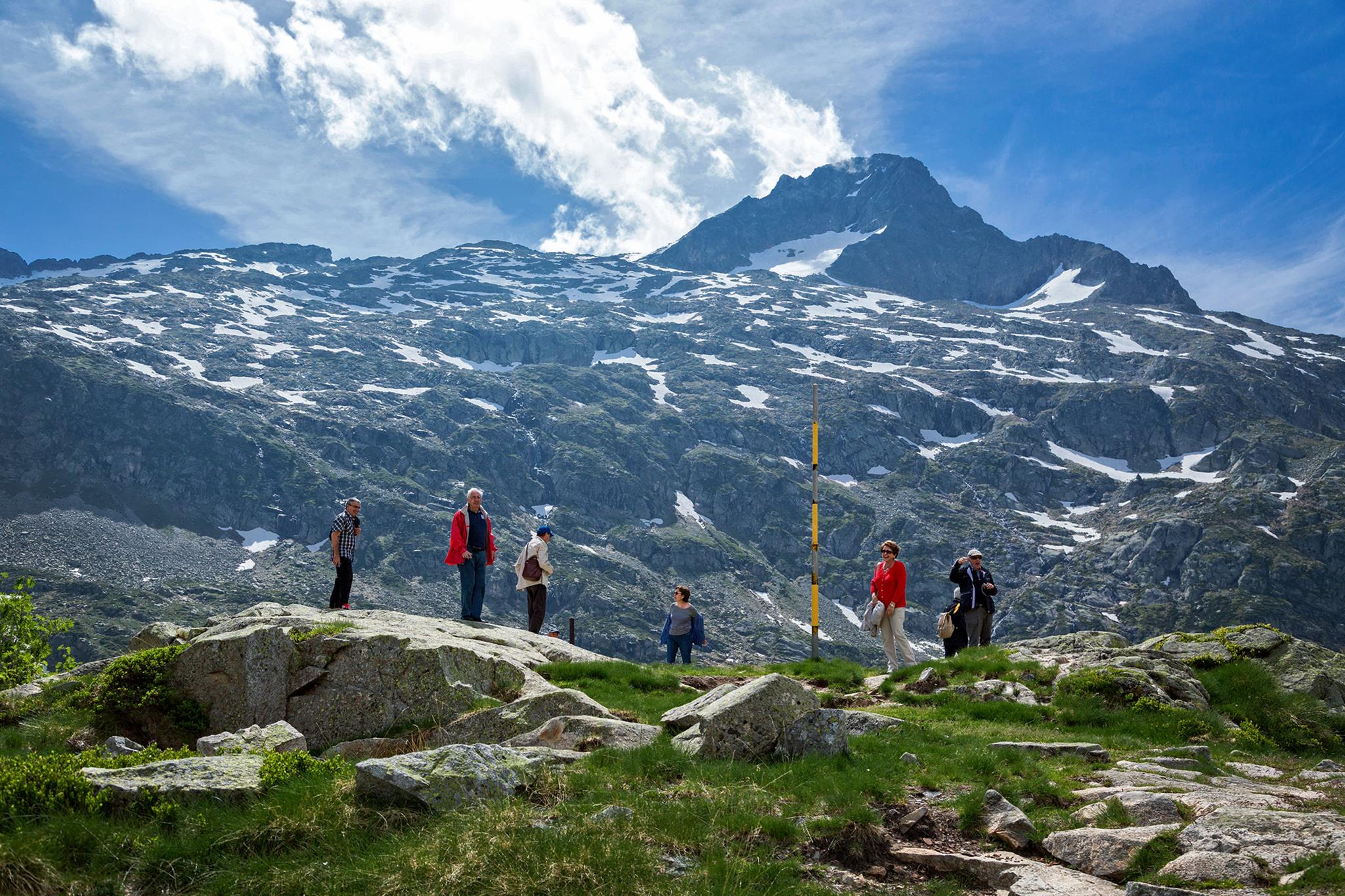 � Jaume Jov� 2025