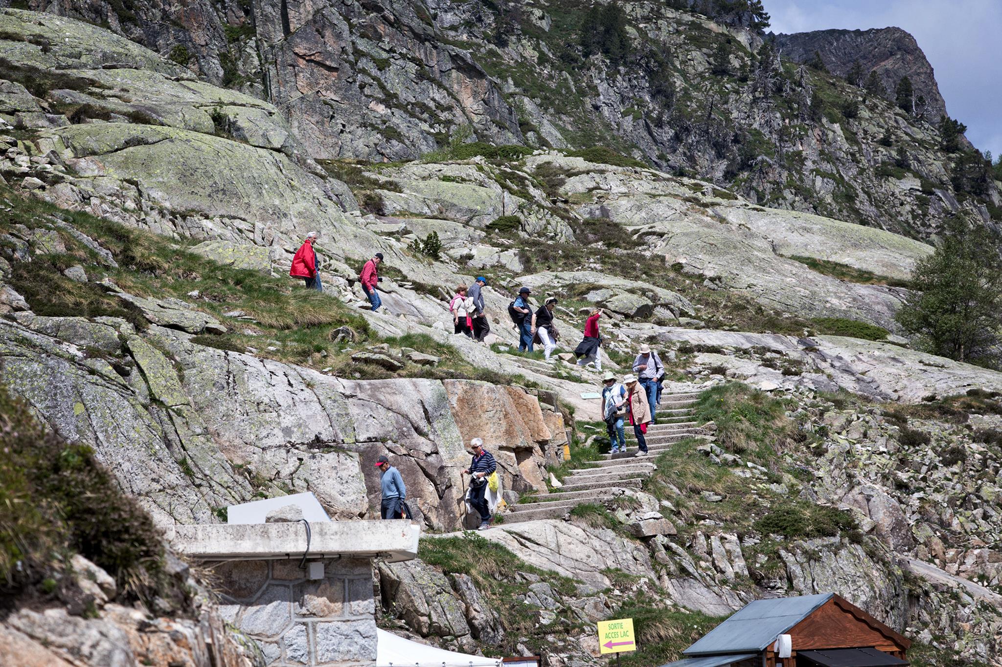 � Jaume Jov� 2025