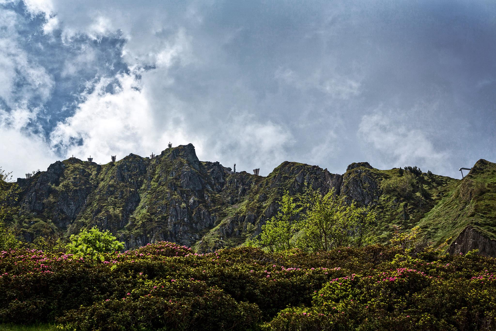 � Jaume Jov� 2025