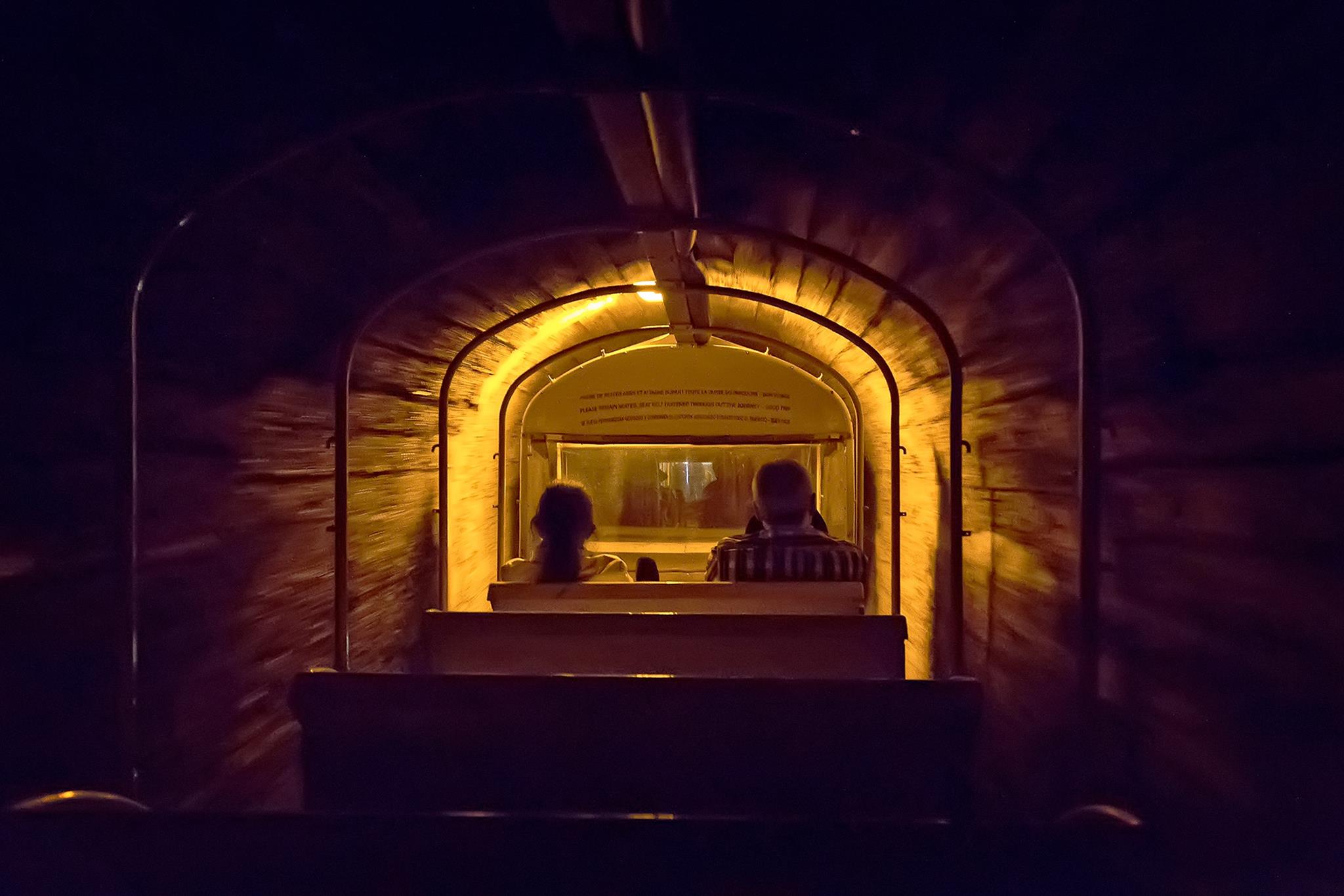 � Jaume Jov� 2025