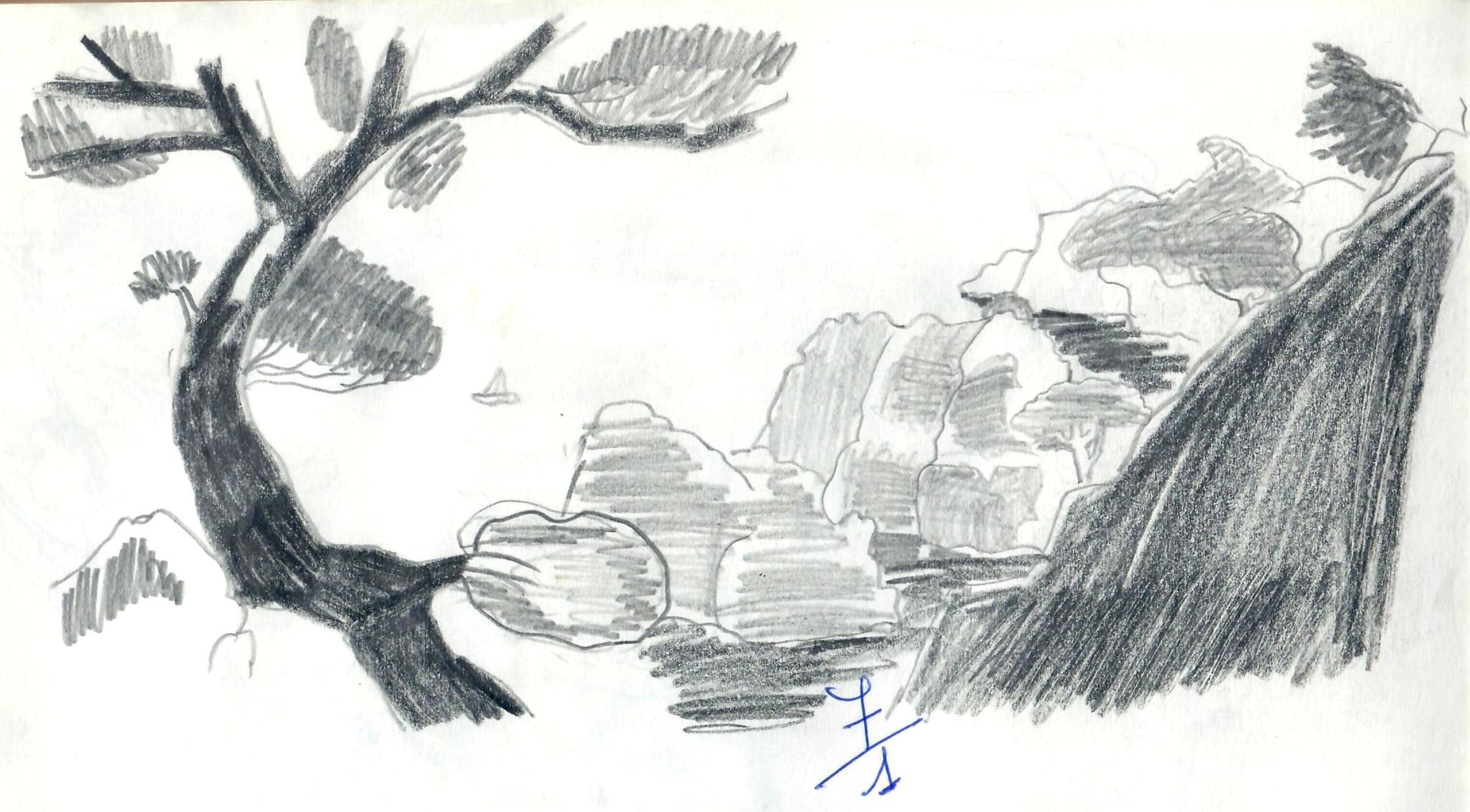 © Jaume Olivet 1979