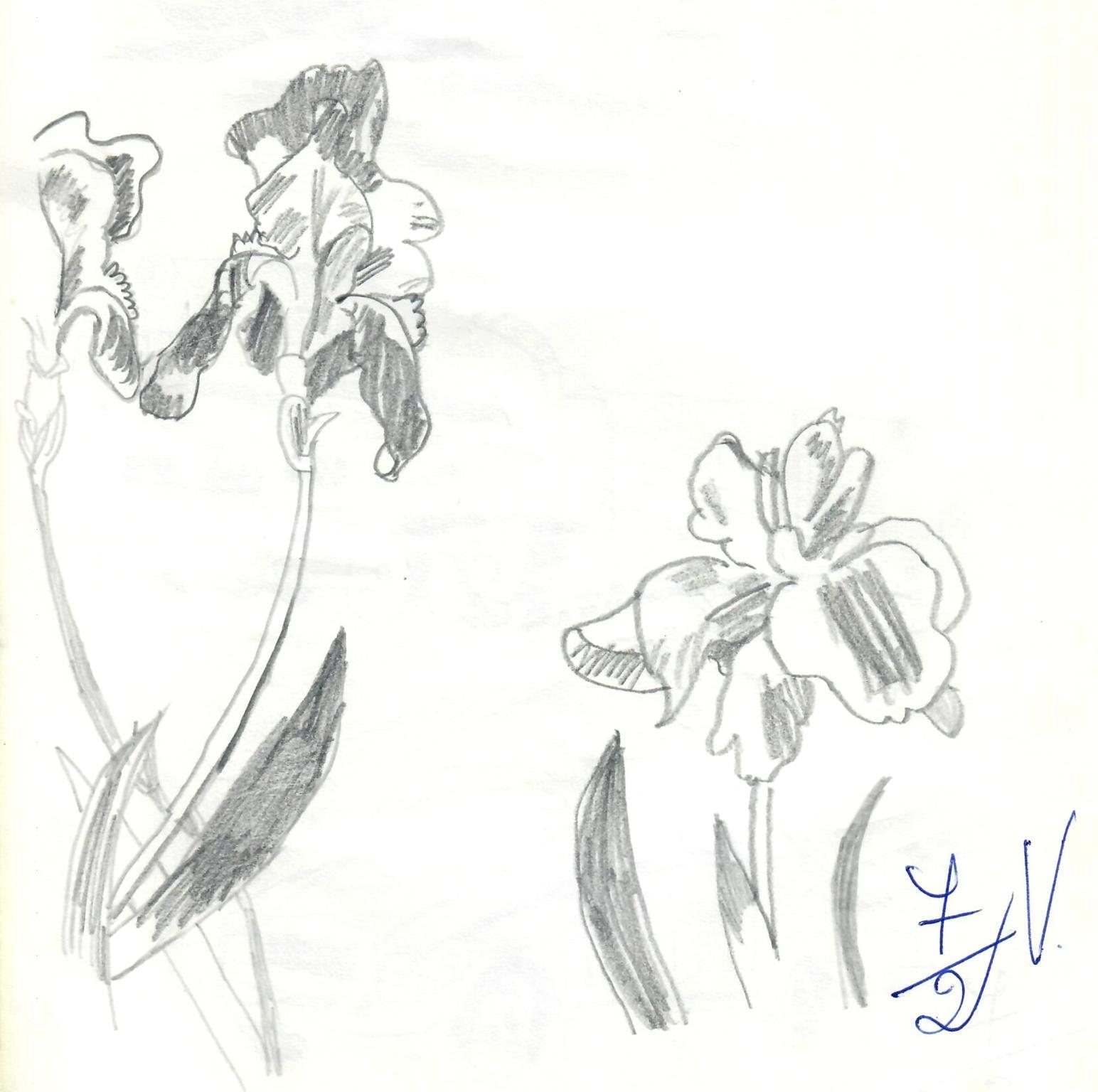 � Jaume Olivet 1979