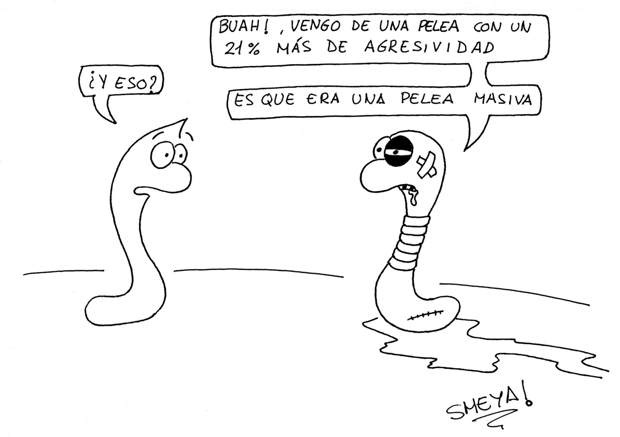  Sergi Meya 2025