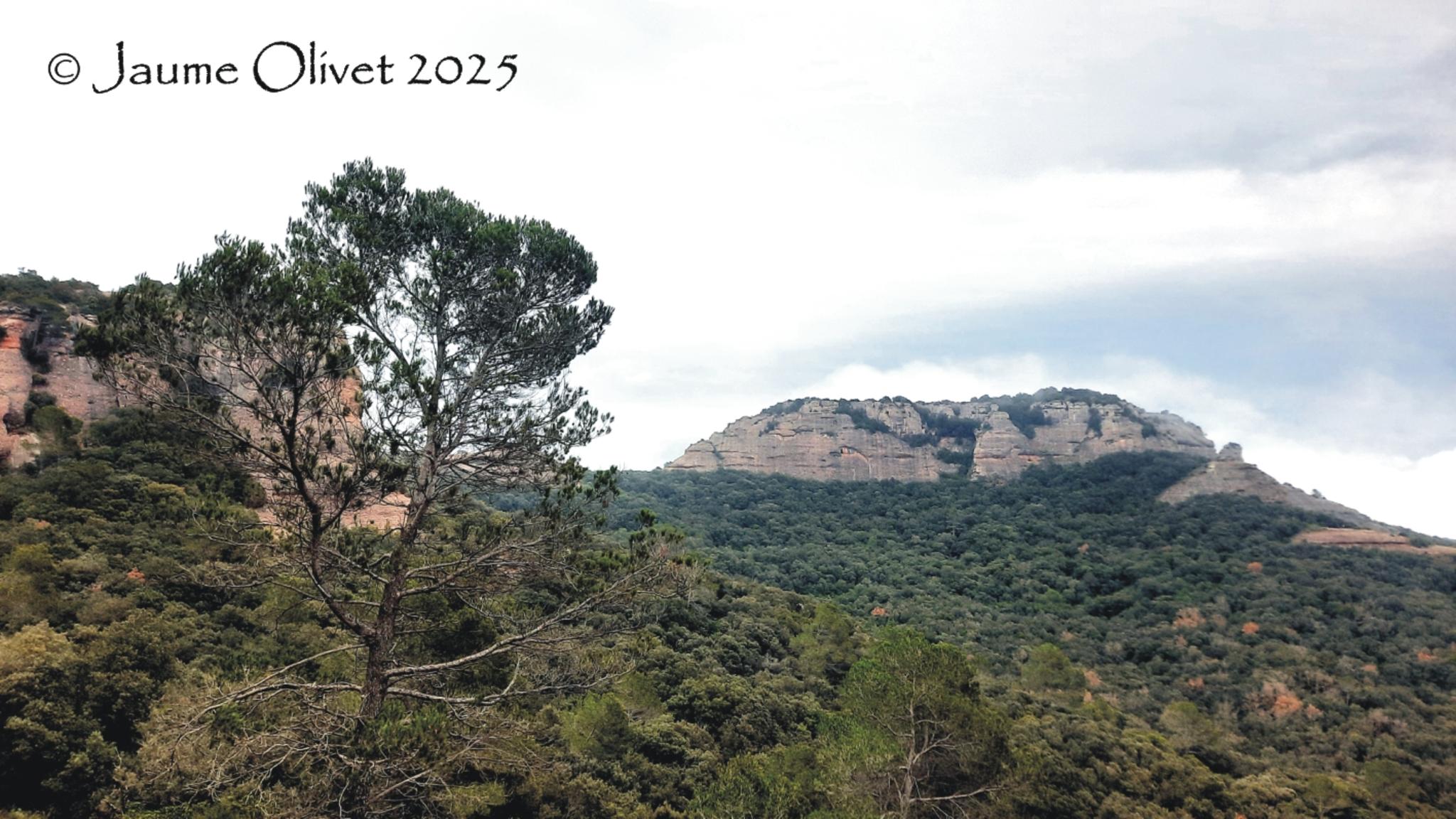  Jaume Olivet 2025